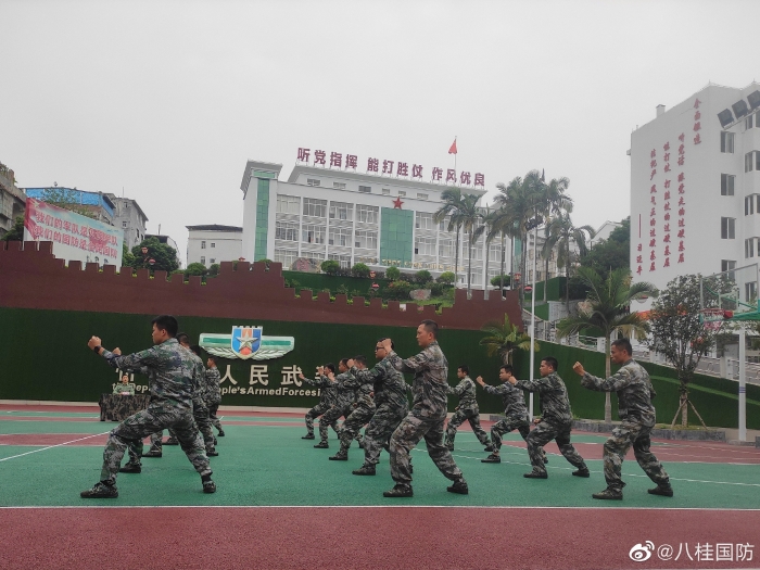 军体拳图解版教程军训(图1)