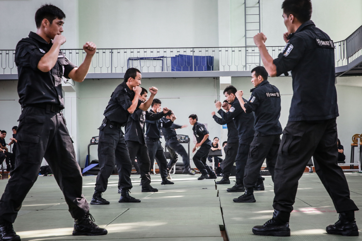 常用格斗术套路pdf(图1)